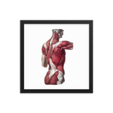 Jean-Baptiste Marc Bourgery - Back muscles フレーム付きポスター