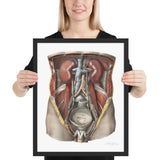 Jean-Baptiste Marc Bourgery, urinary system フレーム付きポスター