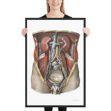 Jean-Baptiste Marc Bourgery, urinary system フレーム付きポスター