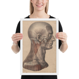 Jean-Baptiste Marc Bourgery - Head and neck muscles フレーム付きポスター