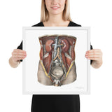 Jean-Baptiste Marc Bourgery, urinary system フレーム付きポスター