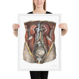 Jean-Baptiste Marc Bourgery, urinary system フレーム付きポスター