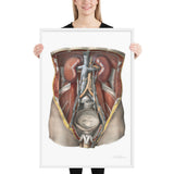 Jean-Baptiste Marc Bourgery, urinary system フレーム付きポスター