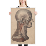 Jean-Baptiste Marc Bourgery - Head and neck muscles フレーム付きポスター
