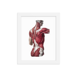 Jean-Baptiste Marc Bourgery - Back muscles フレーム付きポスター