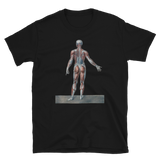 Jean-Baptiste Marc Bourgery - Muscles of the human body anterior view, 半袖ユニセックスTシャツ