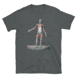 Jean-Baptiste Marc Bourgery - Muscles of the human body posterior view, 半袖ユニセックスTシャツ