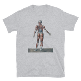 Jean-Baptiste Marc Bourgery - Muscles of the human body anterior view, 半袖ユニセックスTシャツ