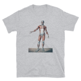 Jean-Baptiste Marc Bourgery - Muscles of the human body posterior view, 半袖ユニセックスTシャツ