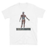 Jean-Baptiste Marc Bourgery - Muscles of the human body anterior view, 半袖ユニセックスTシャツ