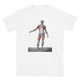 Jean-Baptiste Marc Bourgery - Muscles of the human body posterior view, 半袖ユニセックスTシャツ