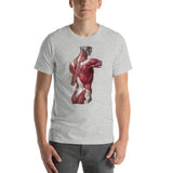 Jean-Baptiste Marc Bourgery - Back muscles 半袖ユニセックスTシャツ