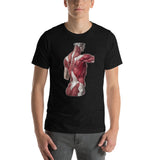 Jean-Baptiste Marc Bourgery - Back muscles 半袖ユニセックスTシャツ