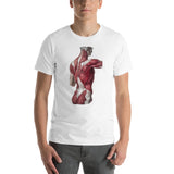 Jean-Baptiste Marc Bourgery - Back muscles 半袖ユニセックスTシャツ