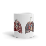 Jean-Baptiste Marc Bourgery, heart and lung, vessels マグカップ（白）